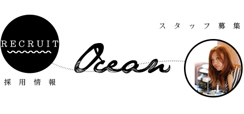 ocean採用情報